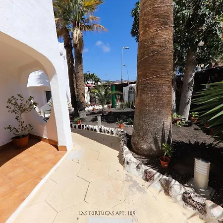 Triplex Tortugas 109 アロナ