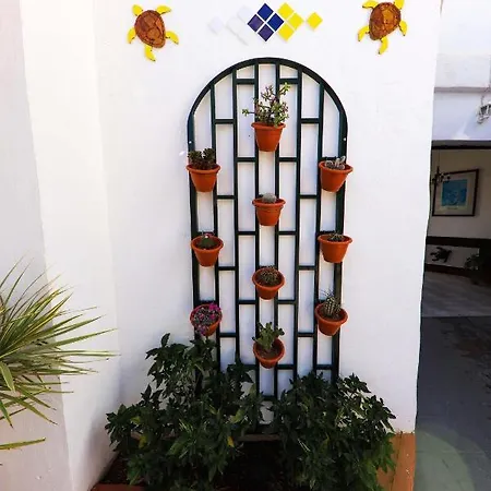 Triplex Tortugas 109 * Арона